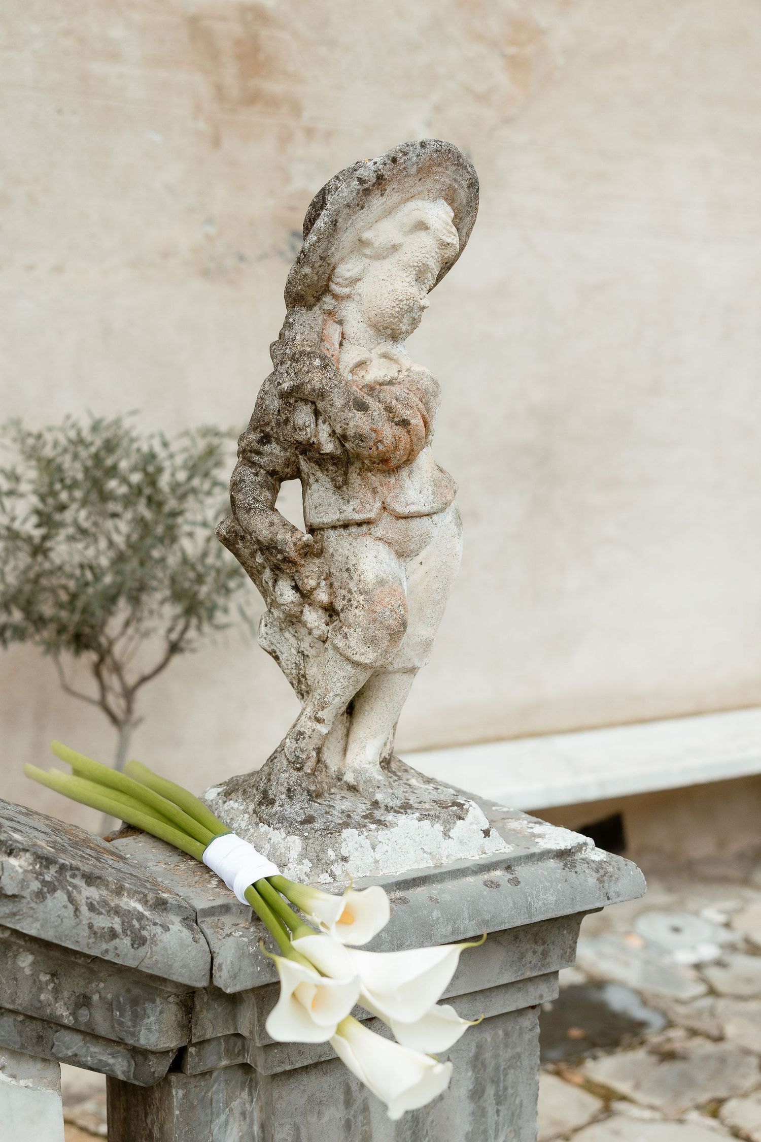 A weathered stone cherub statue on a pedestal with white lilies and an olive tree in the soft background.