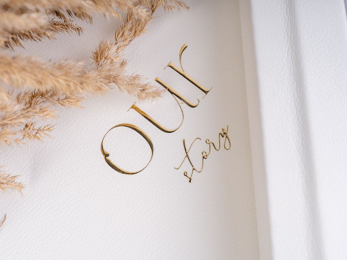 Decorative dried pampas grass plumes arranged against a white background with soft beige tones.