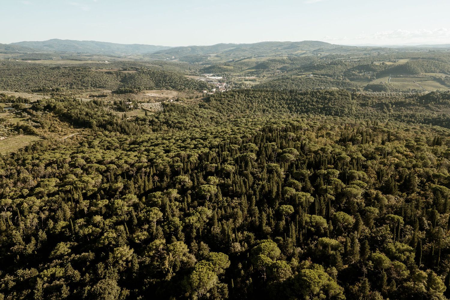 Panoramic aerial view of rolling hills covered in dense Mediterranean forest stretching to the horizon.