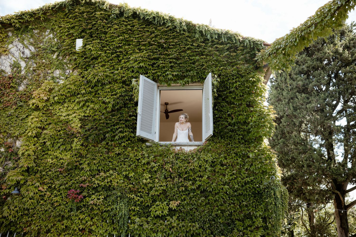 Ivy-covered white building with multiple windows and architectural details creates a lush green facade.