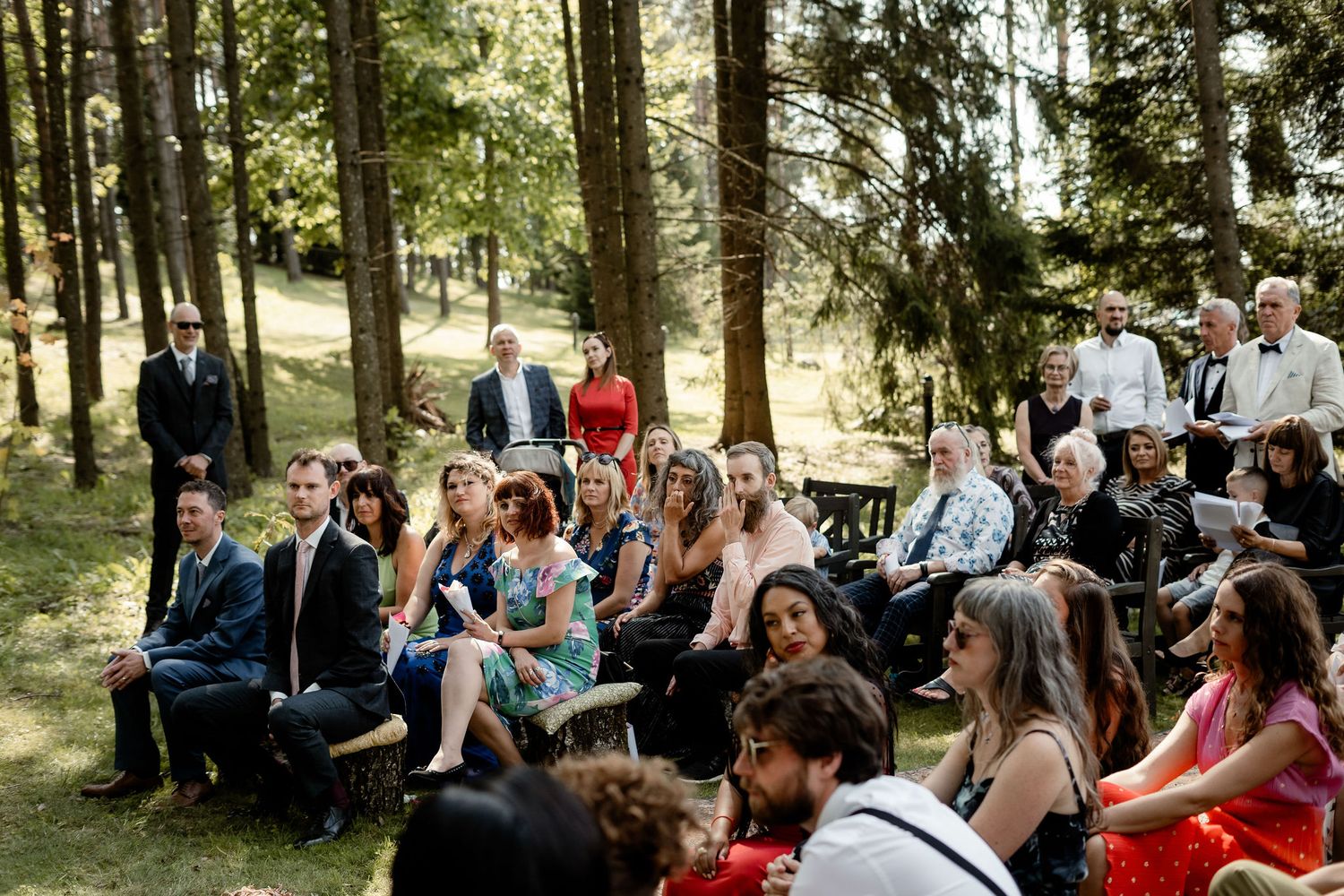 Wedding guests seated on wooden chairs watch ceremony in sunlit forest setting.