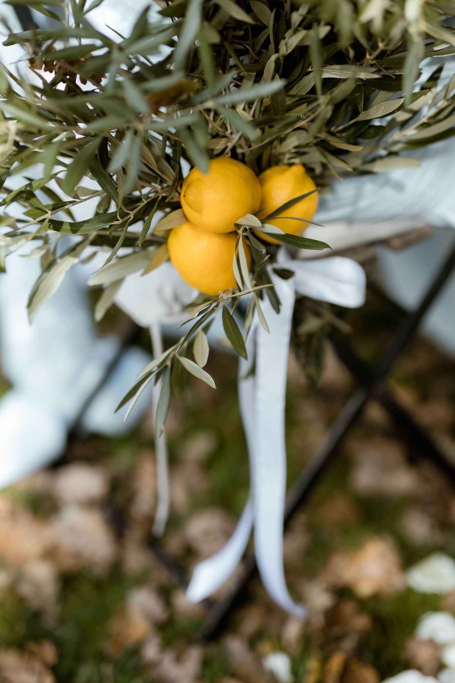 Fresh citrus fruits and olive branches decorate a white outdoor wedding arch against a natural backdrop.