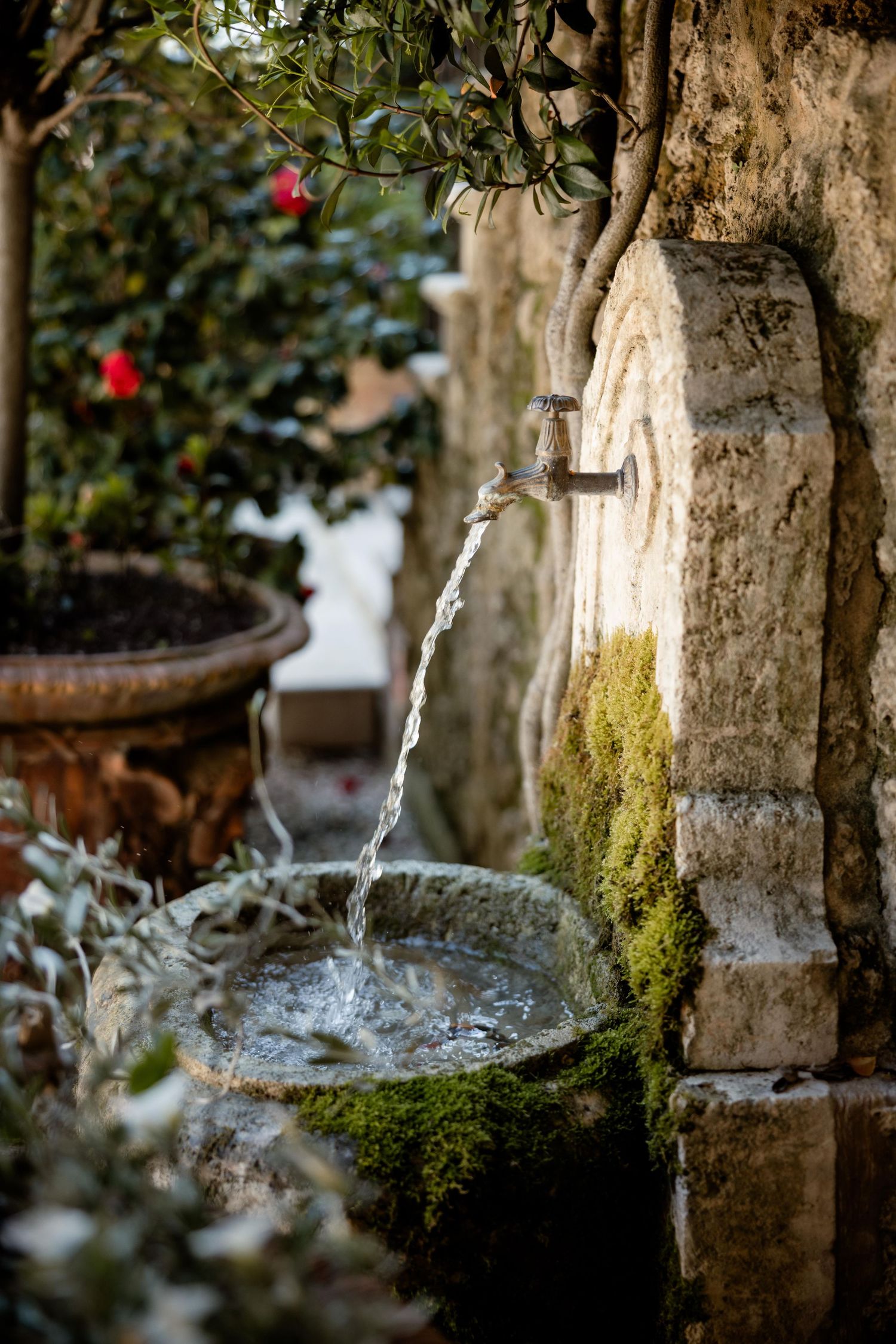 Water flows from an ancient stone fountain spout into a moss-covered basin surrounded by garden foliage and red flowers.