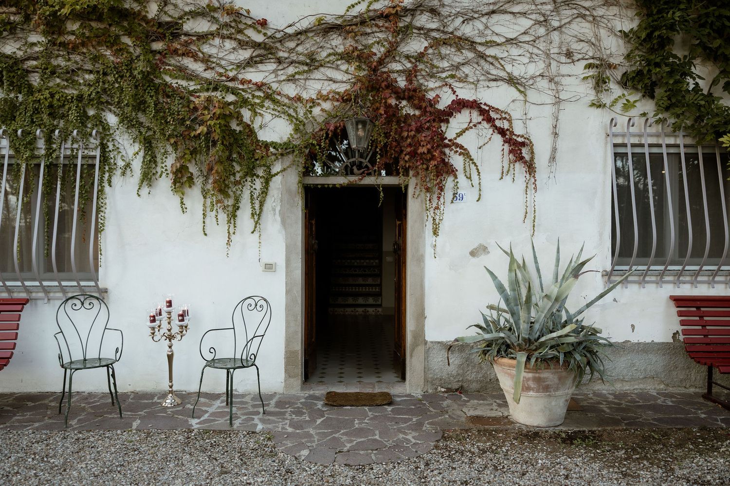 Rustic white patio wall with climbing vines and vintage metal chairs creating a charming outdoor seating area.