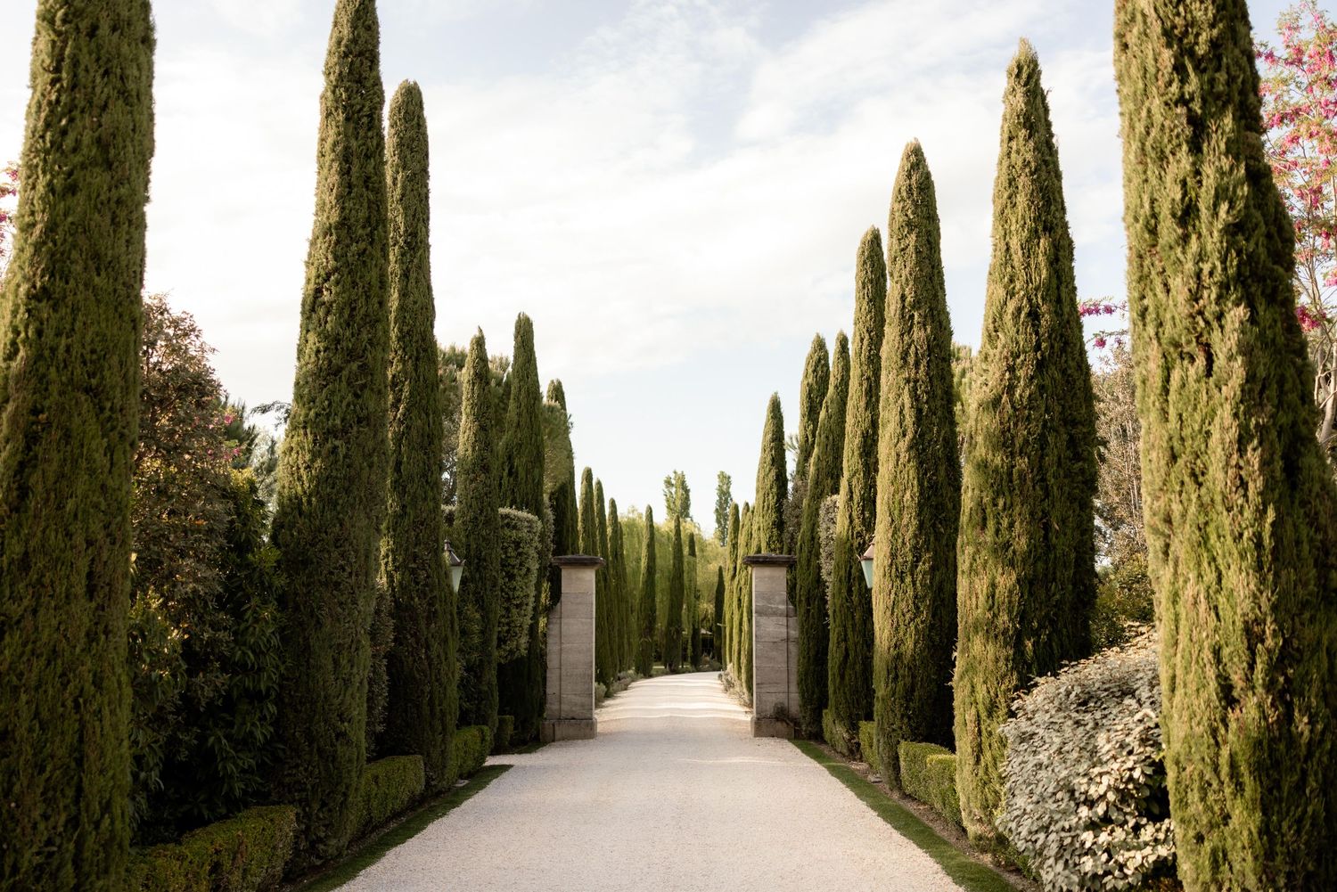 A majestic pathway lined with tall cypress trees and stone pillars leads through a formal garden.