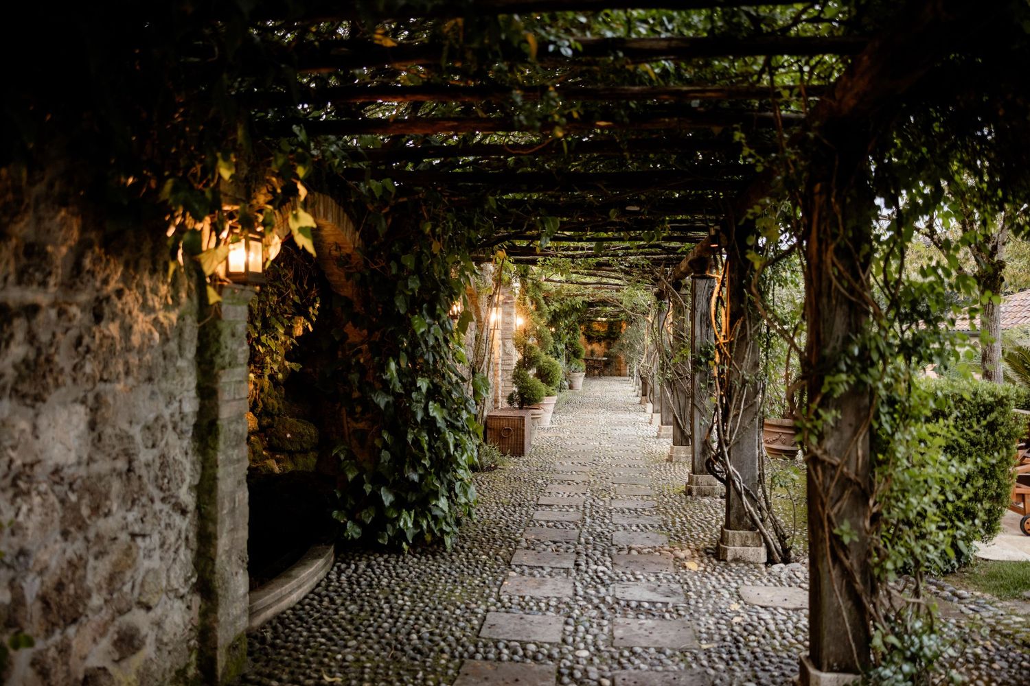 A romantic stone corridor covered in climbing vines and lit by hanging lanterns creating a magical garden atmosphere.