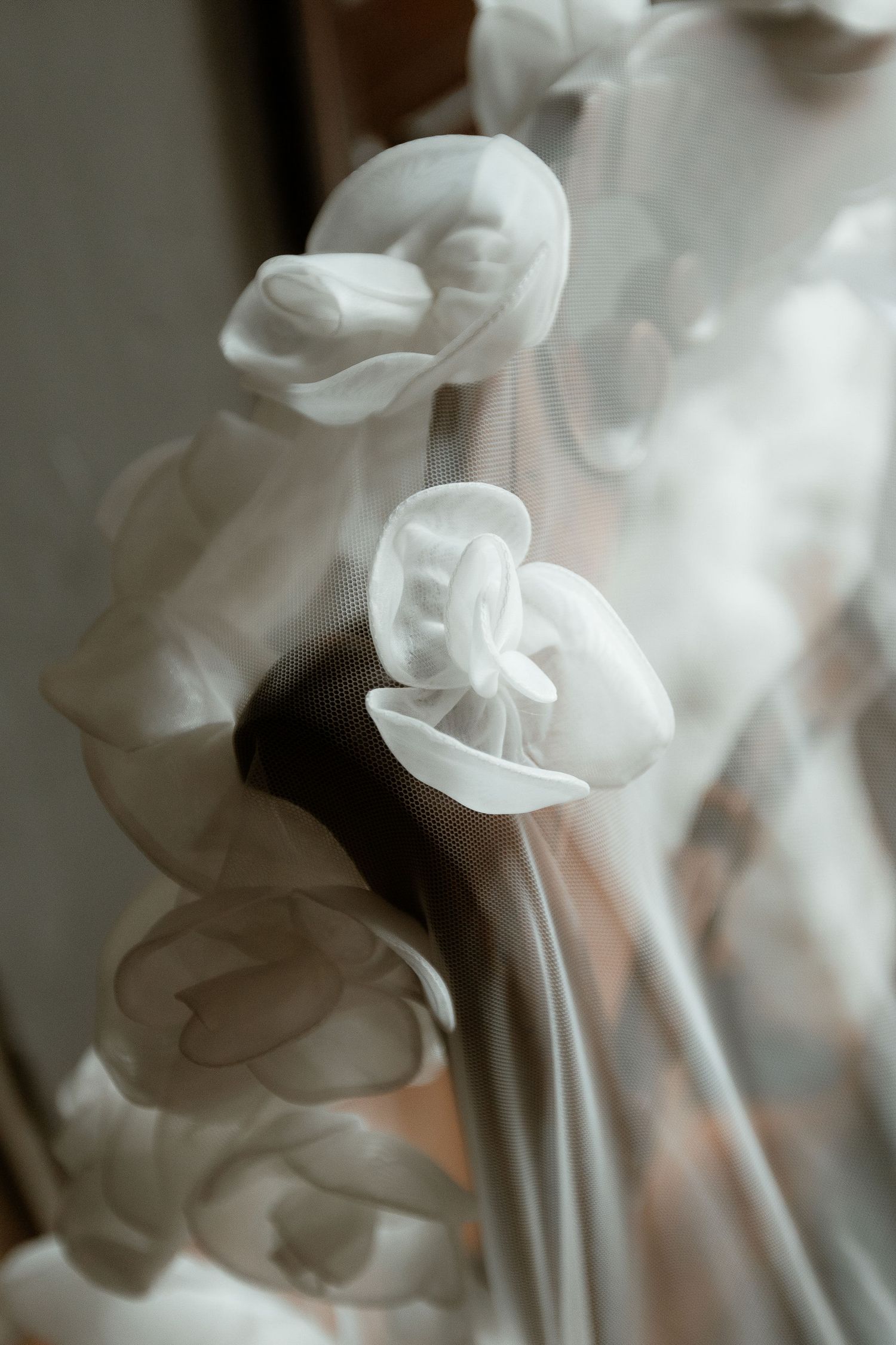 Soft white flowers in delicate monochromatic tones create a dreamy, ethereal composition with blurred edges.