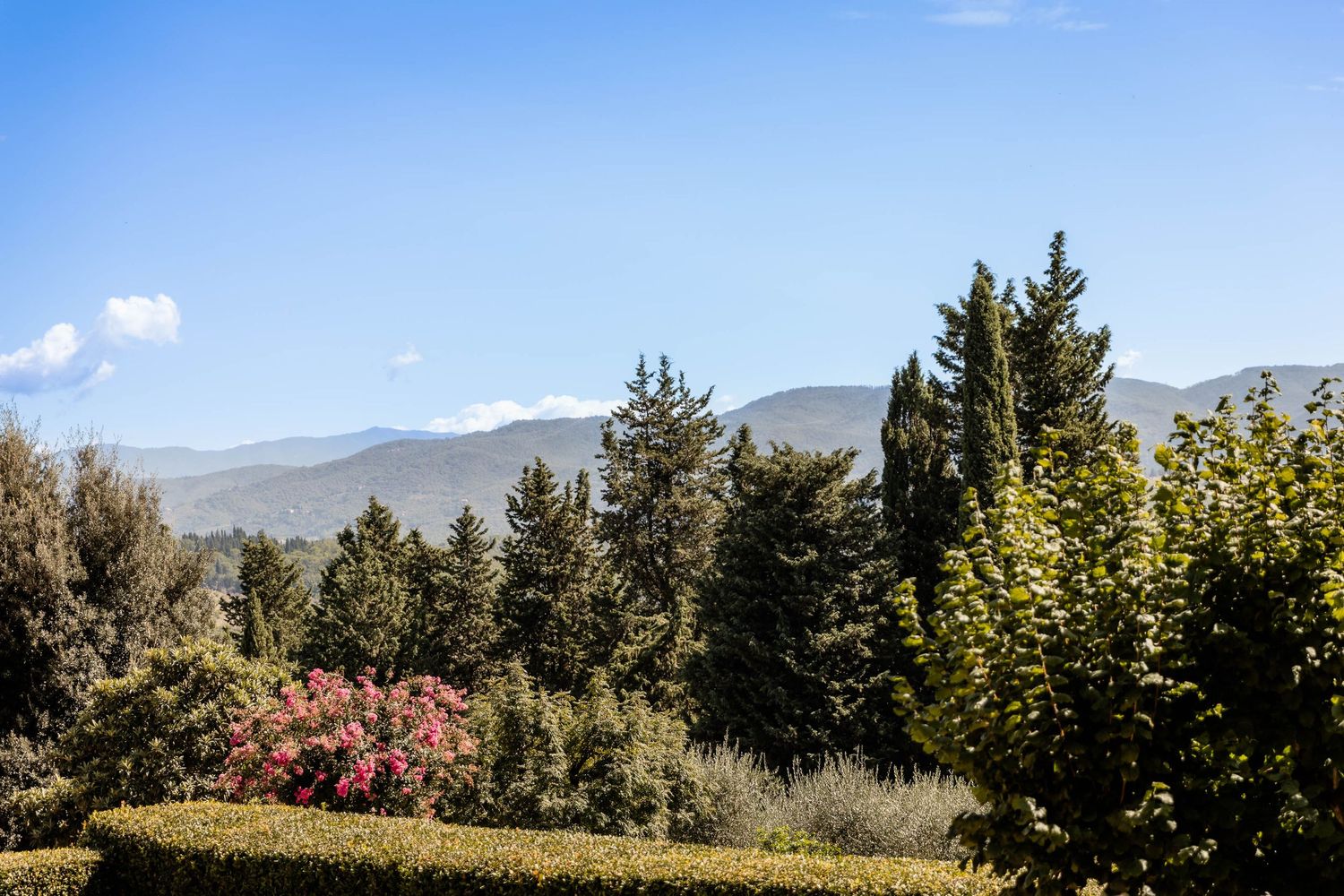 Tuscan landscape with rolling hills, cypress trees and colorful flowering bushes.