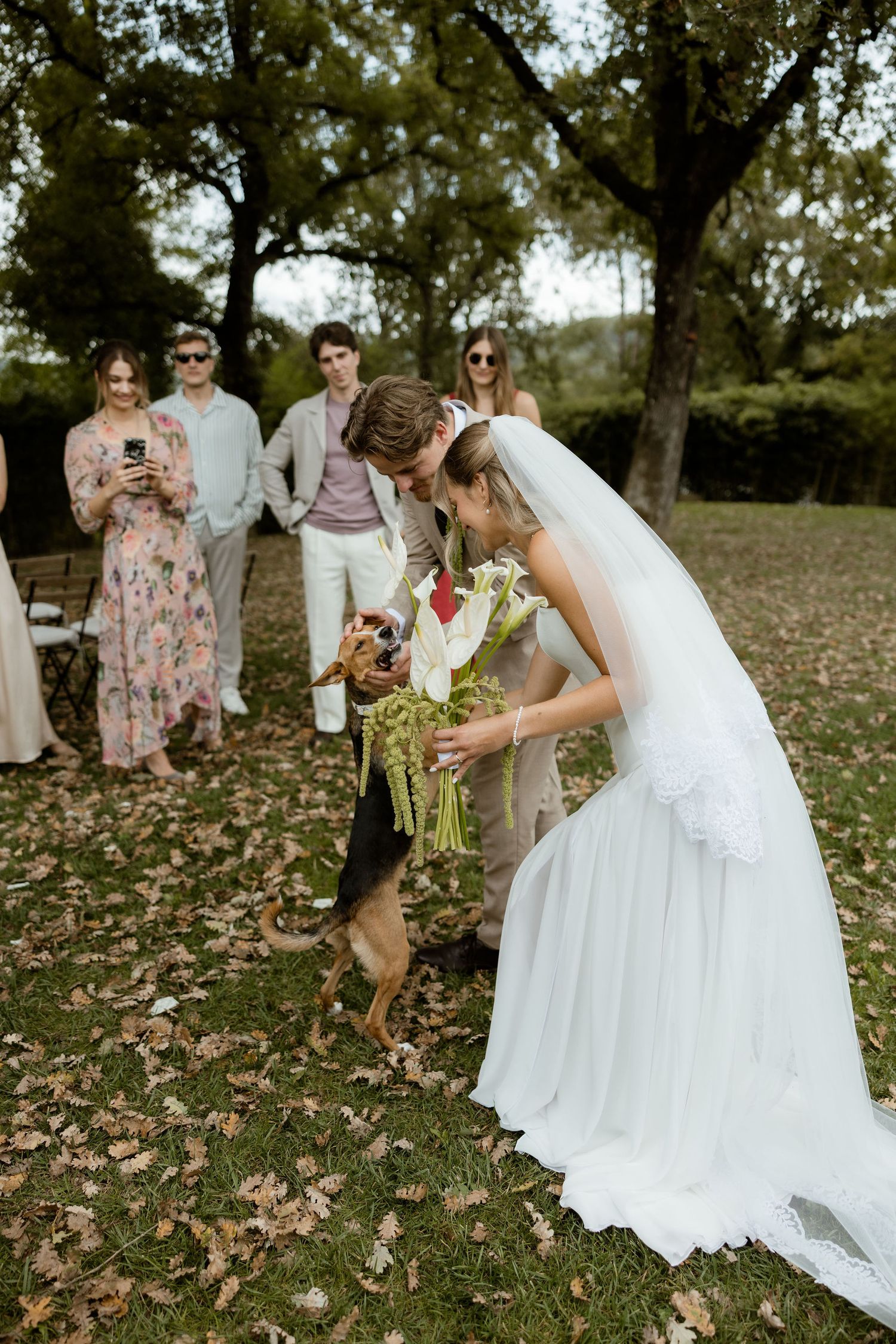 A bride in a white dress searches through fallen autumn leaves in a park while wedding guests look on.