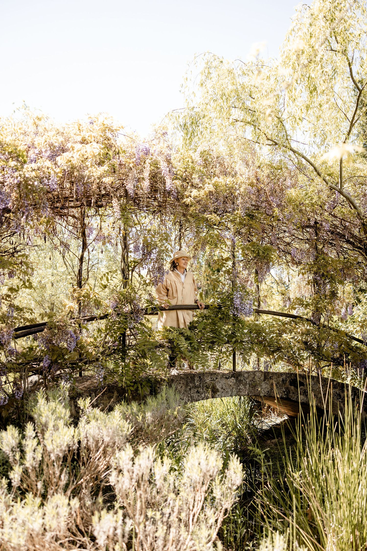 A serene garden bridge with cascading wisteria blooms creating a dreamy archway over rustic stonework.