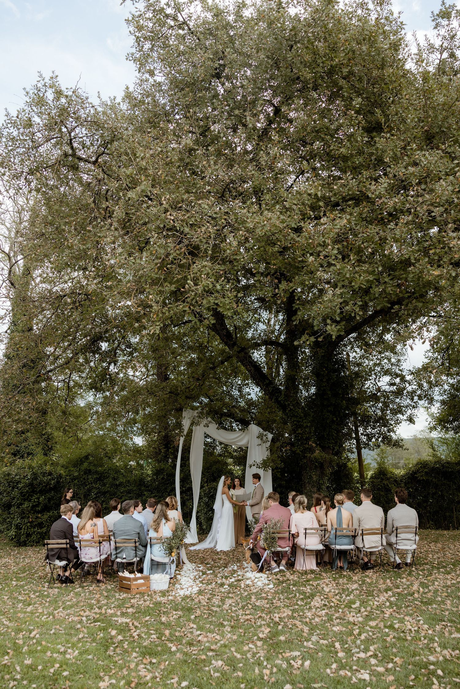 A small outdoor wedding ceremony takes place under a large tree with scattered flower petals on the grass.