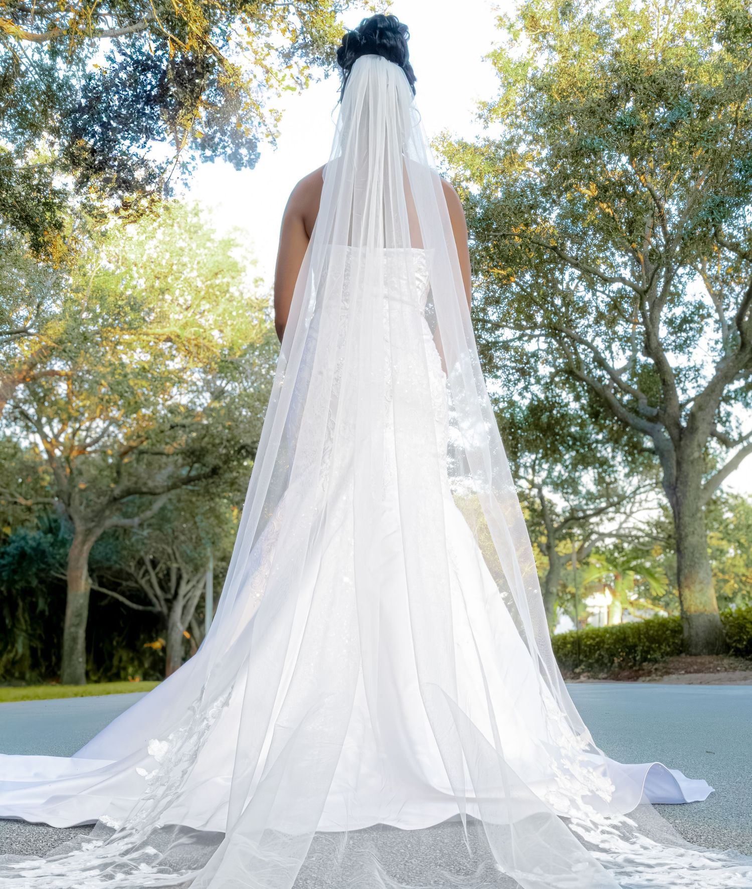 Elegant wedding dress with flowing veil captured from behind against a backdrop of trees.