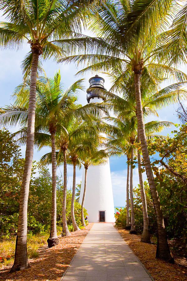 Tall white lighthouse tower framed by towering palm trees along a paved pathway.