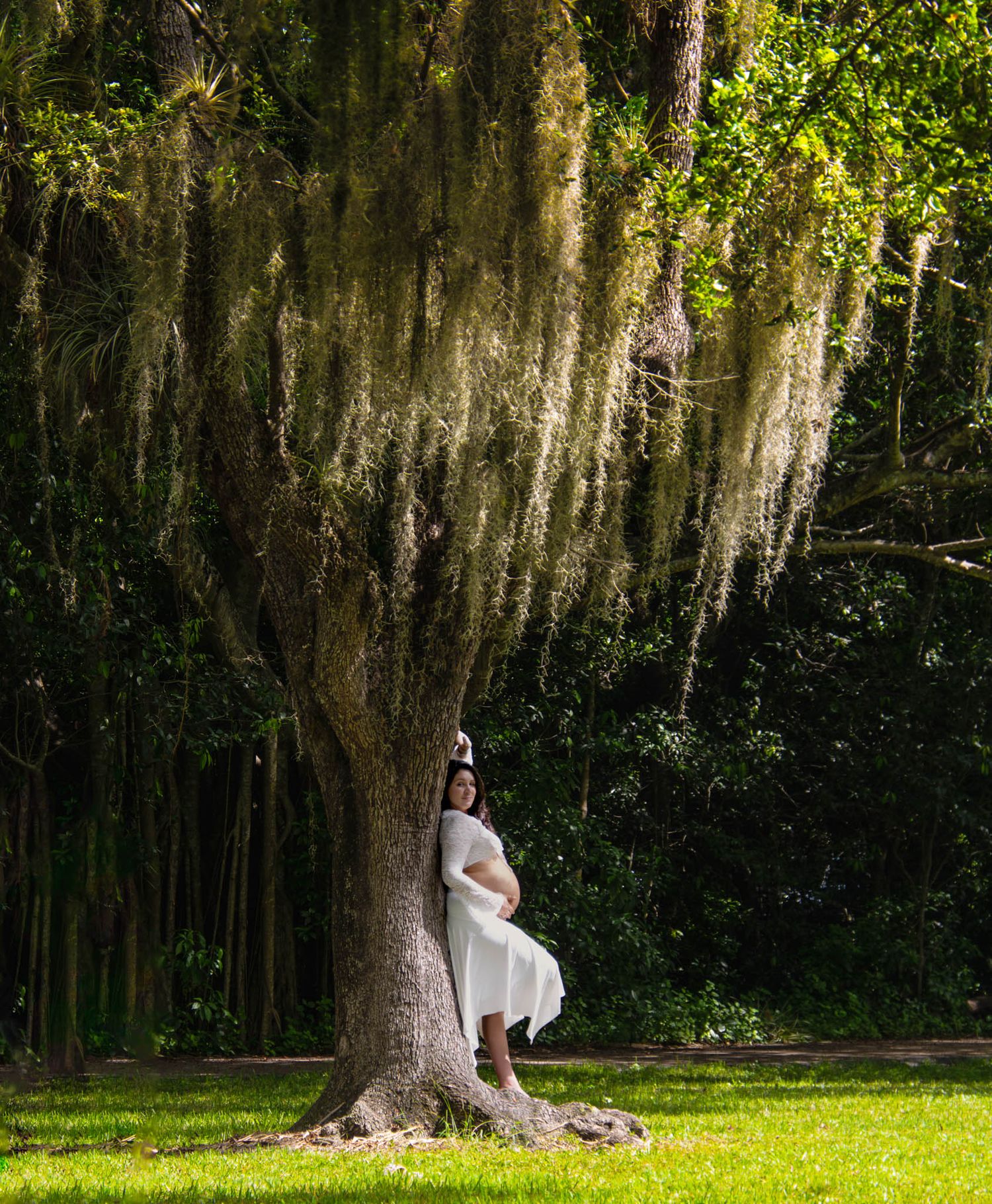 A dreamy maternity portrait under a moss-draped tree captures ethereal sunlight filtering through branches.