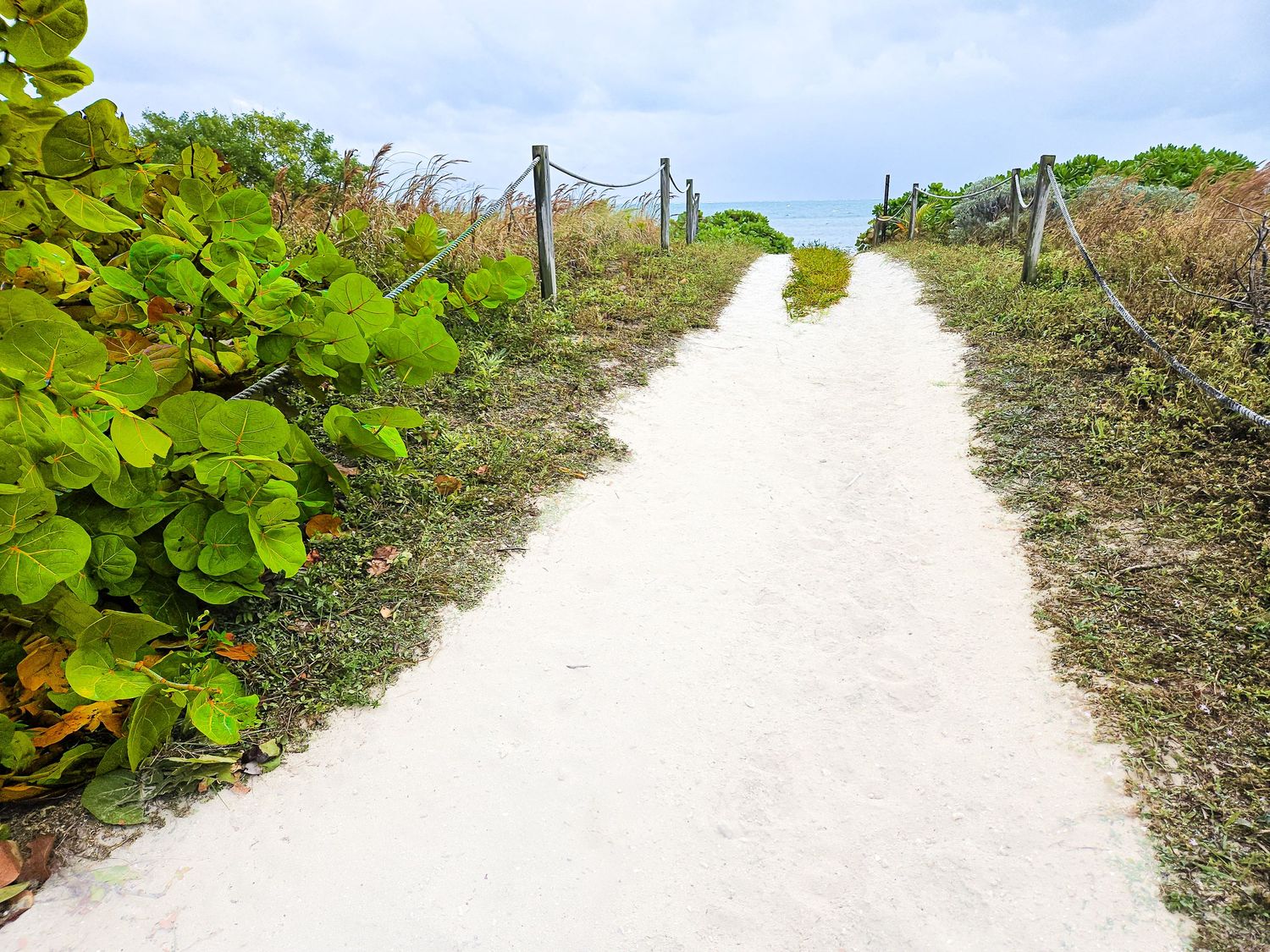 White sandy path winding through coastal vegetation under blue skies.