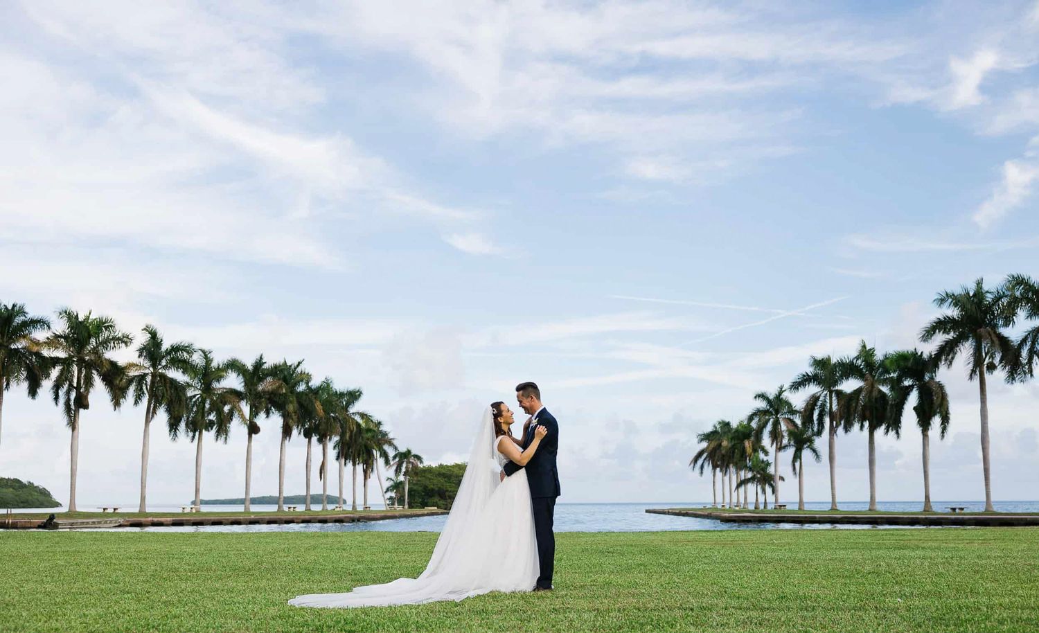 Scenic outdoor lawn with rows of royal palm trees and ocean views.