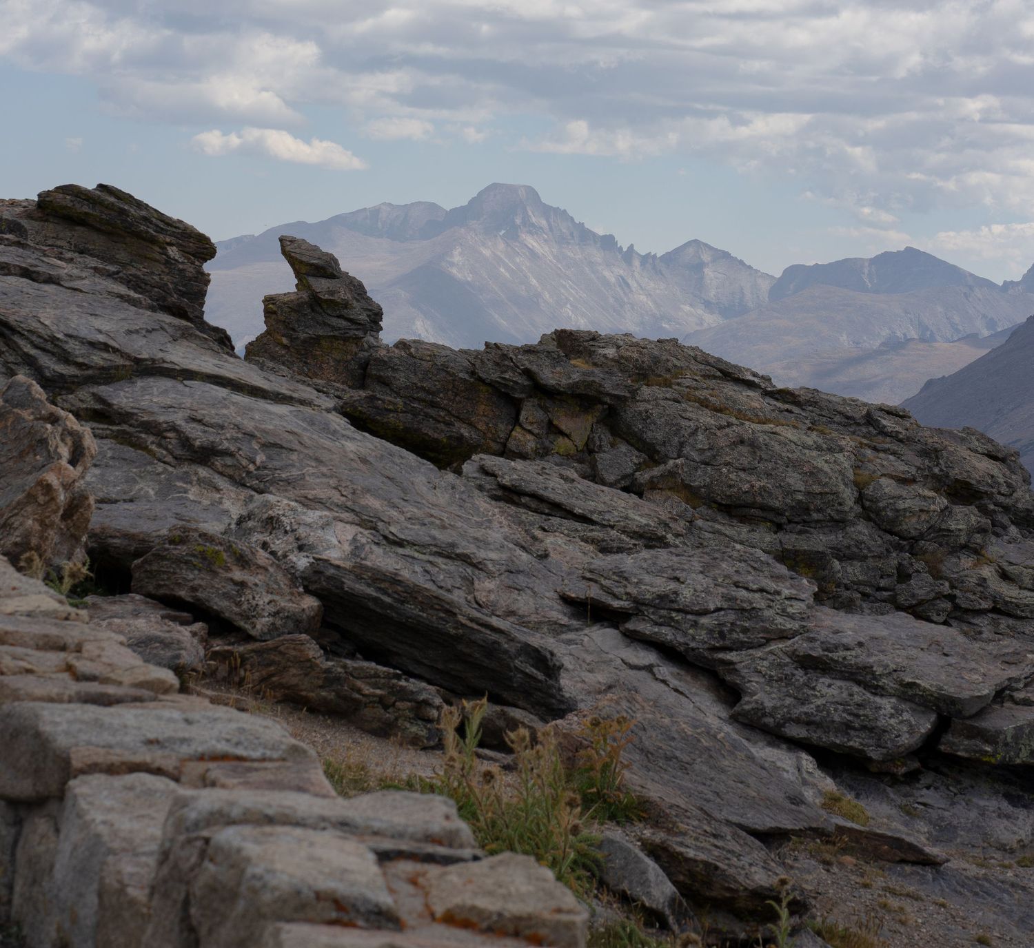 Rocky Mountain