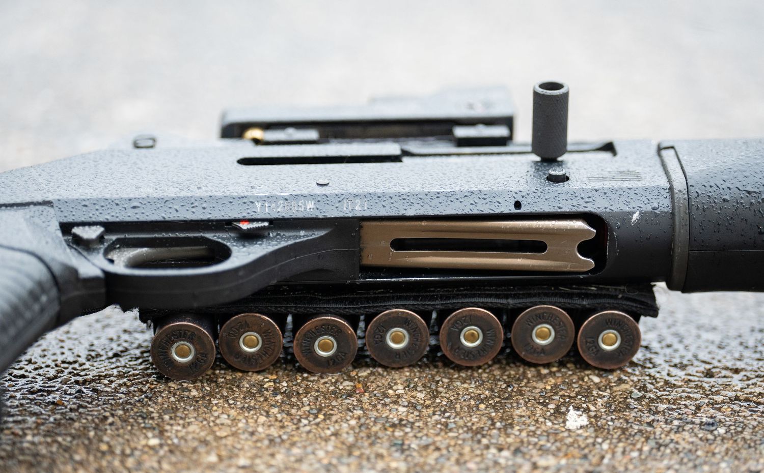 firearm