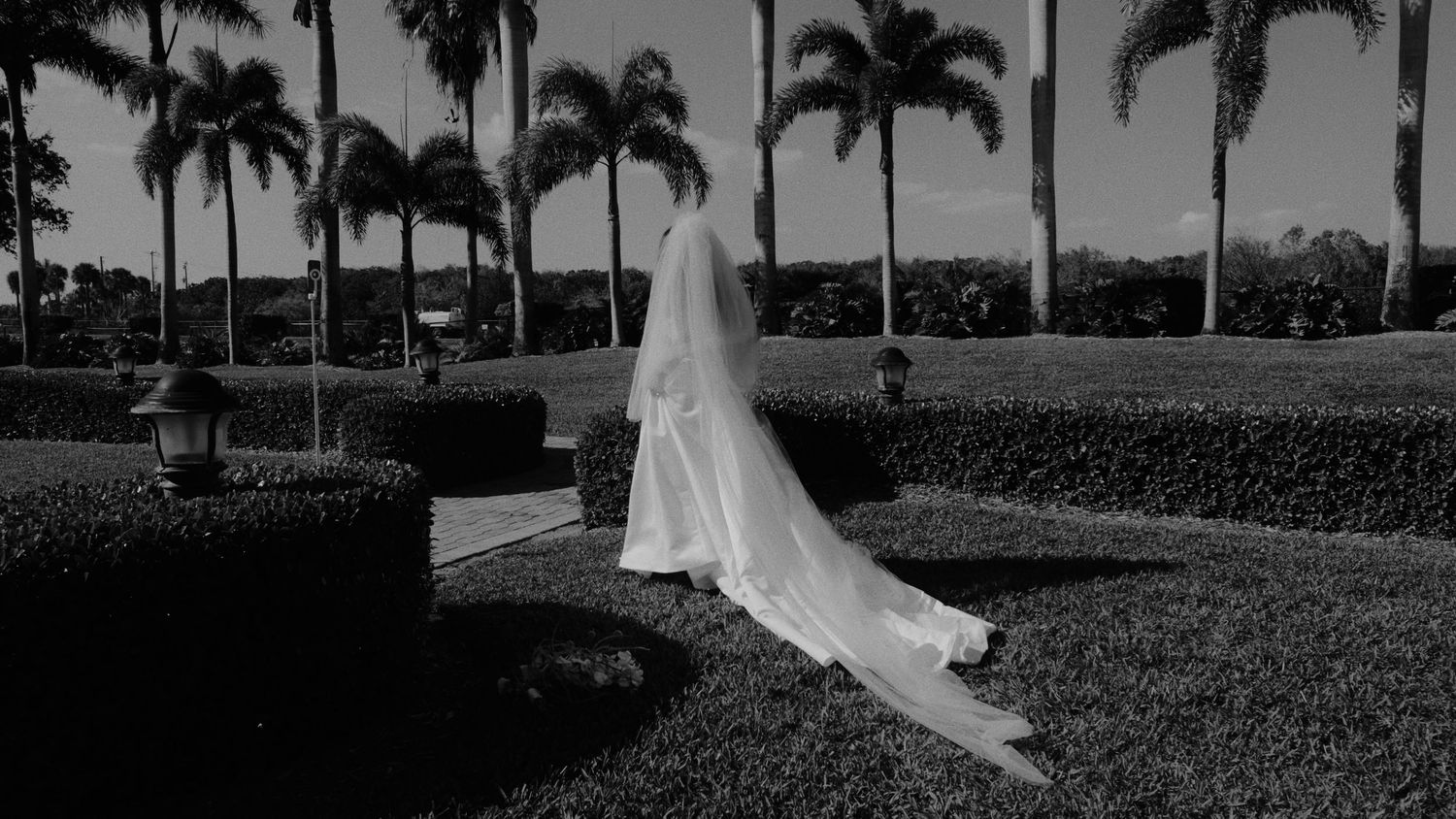 A flowing white wedding dress and veil photographed in black and white against a row of palm trees.
