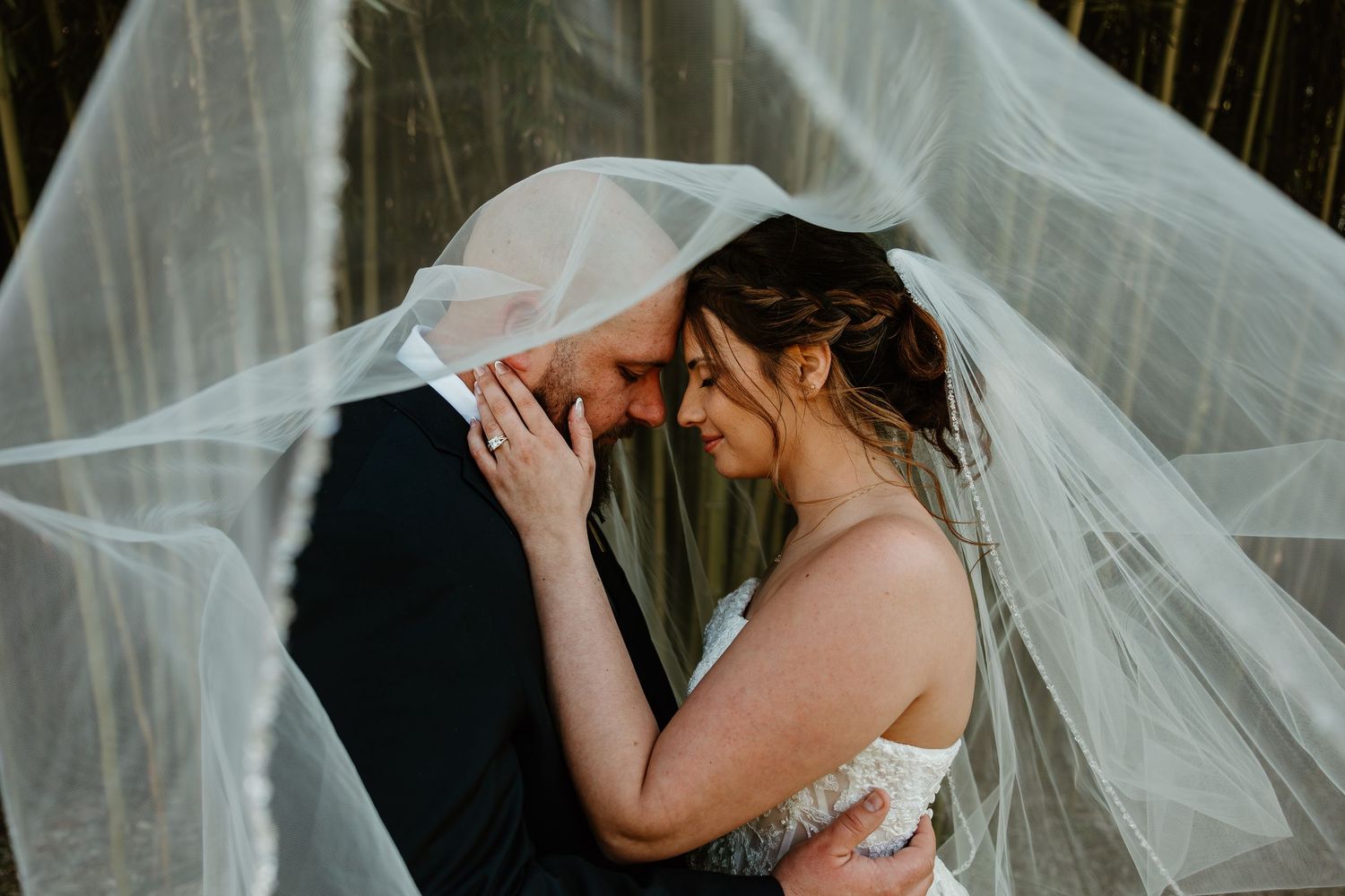 Bride and groom share intimate moment under flowing white veil, foreheads touching tenderly at outdoor wedding.
