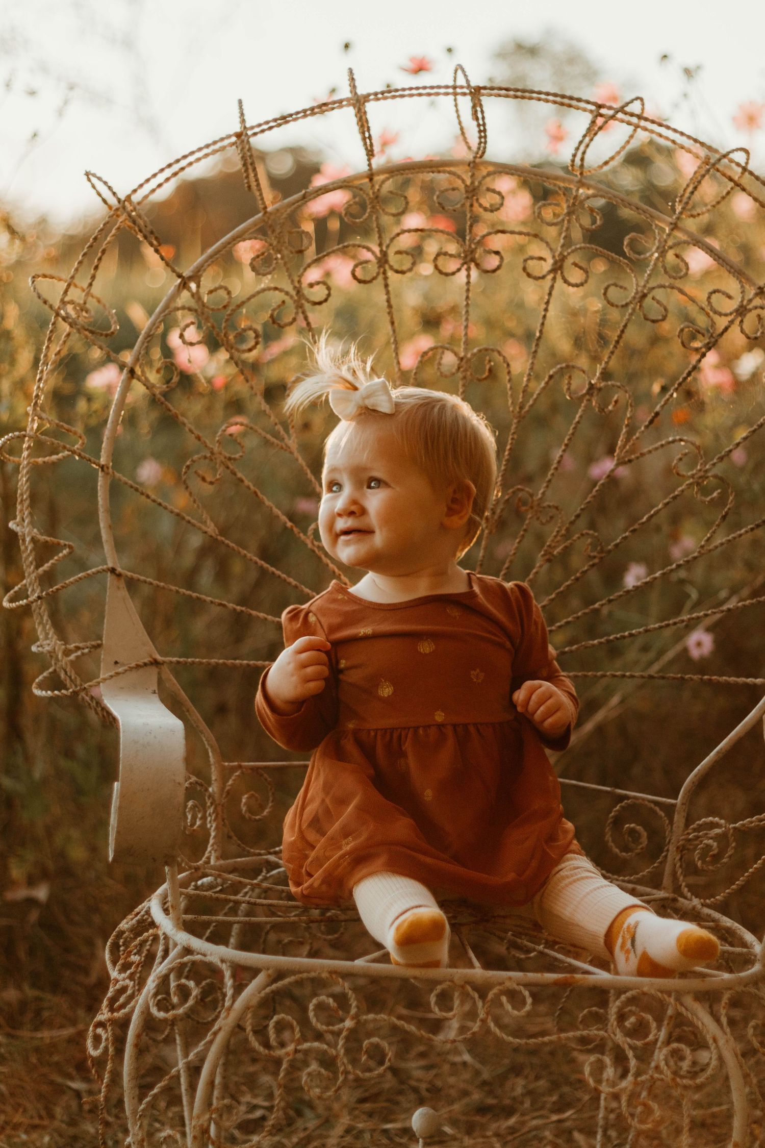 Small child sits in ornate metal garden chair during golden hour photoshoot in Clarkesville, Georgia.