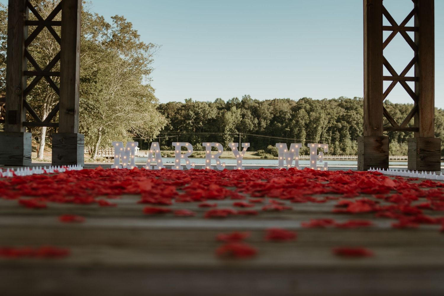 Red rose petals scattered on wooden deck overlooking lake and trees with chairs set up in background.