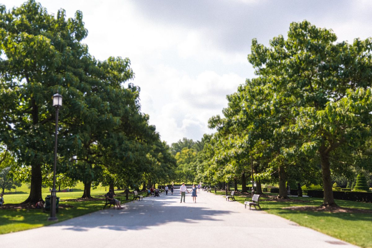Couple stands at a distance along a long tree-lined path