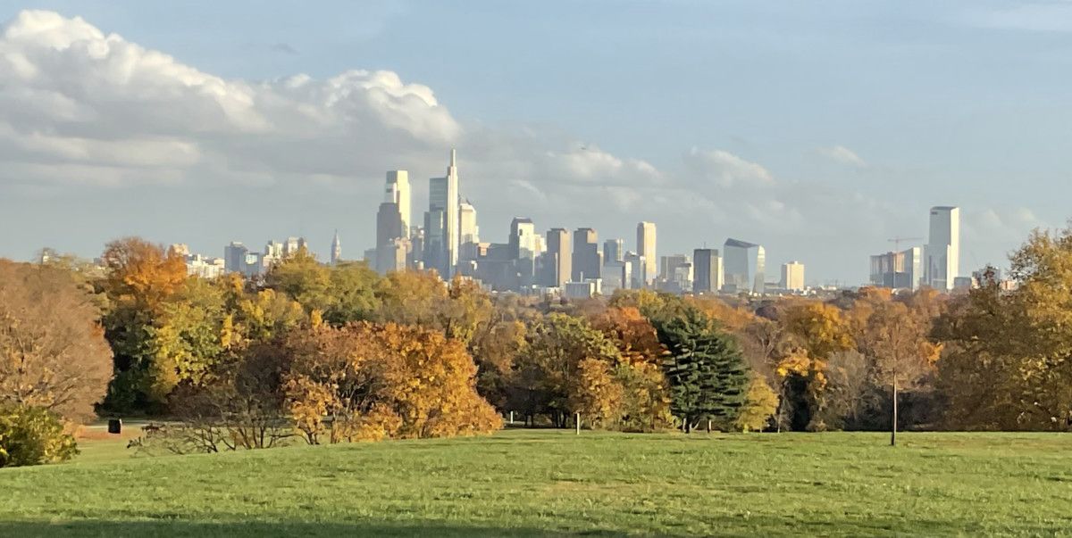 Philly skyline from a distance with autumn trees in the foreground
