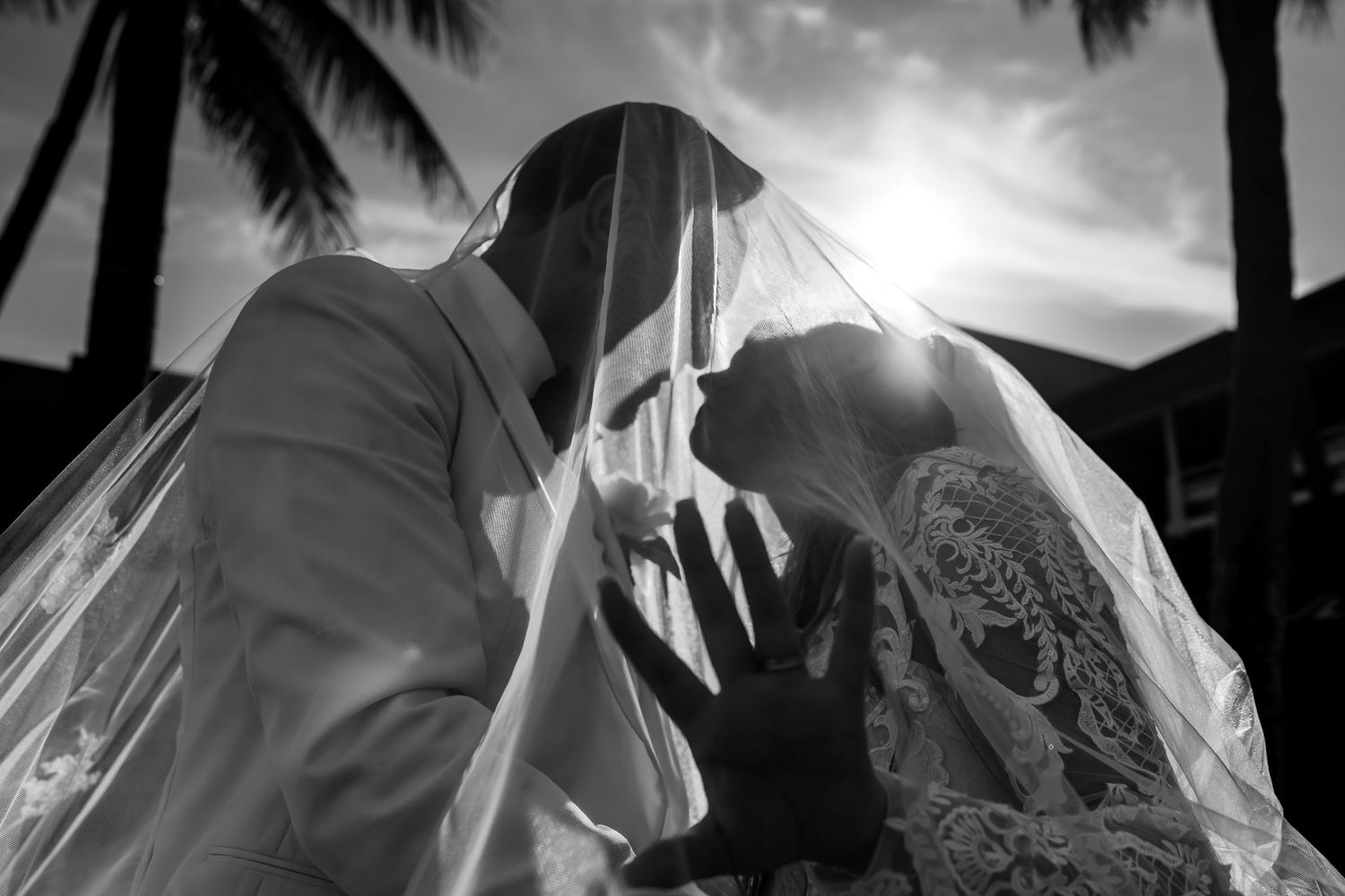 Foto B&W primer plano: Novios se besan tiernamente bajo el velo; sol y palmeras fondo. Boda romántica.