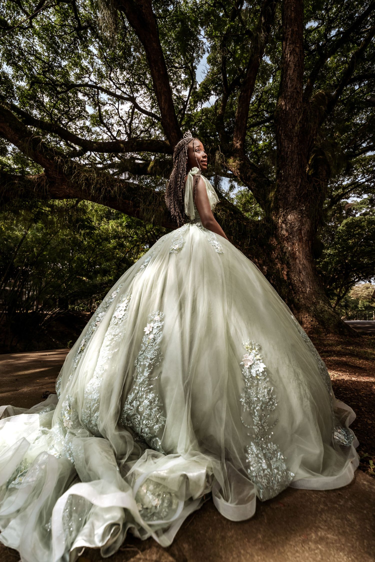 Quinceañera de espaldas con voluminoso vestido princesa (verde menta/plata) bordado, bajo gran árbol en bosque.