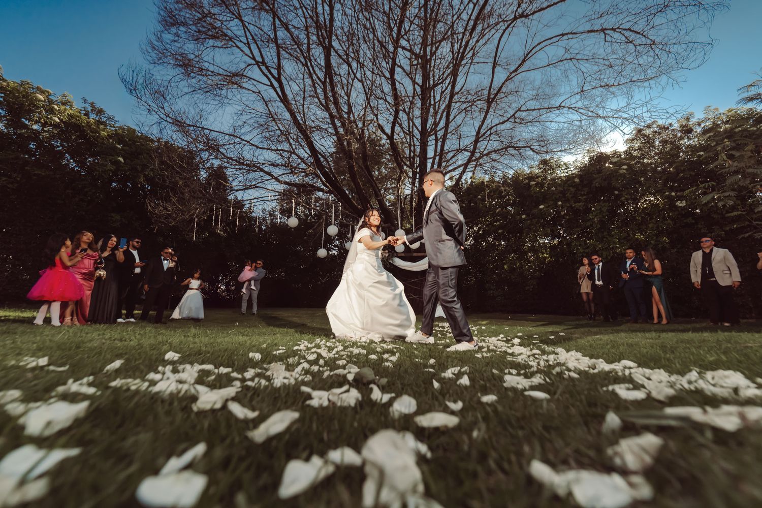 Novios bailan felices sobre césped con pétalos blancos, bajo un árbol, mientras invitados observan. Boda exterior.