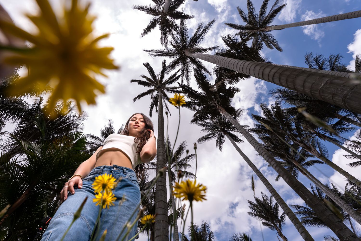 Ángulo bajo: Joven mira hacia altas palmas de cera bajo cielo azul; lleva flores amarillas. Paisaje natural.