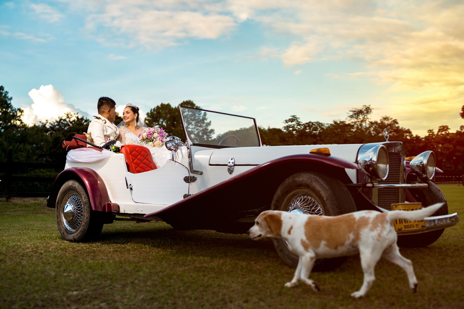 Sesión de fotos de boda con un carro antiguo y un perro en una finca en Villavicencio