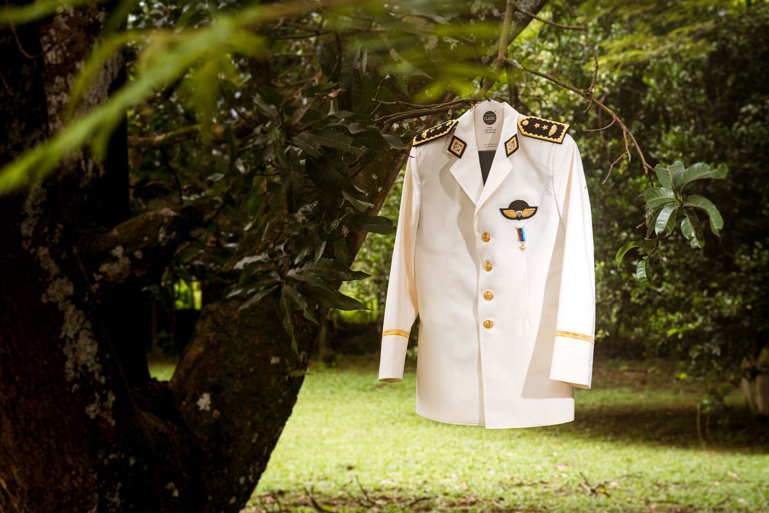 Uniforme de gala del novio colgado de un árbol en una sesión de fotos creativa al aire libre