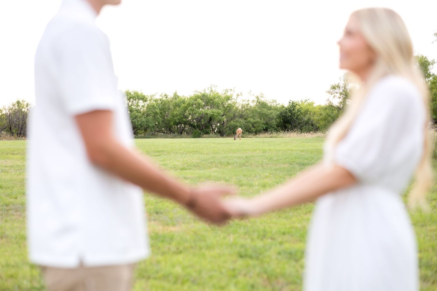 Engaged couple holding hands during Texas engagement photo session as a deer grazes the field in the background