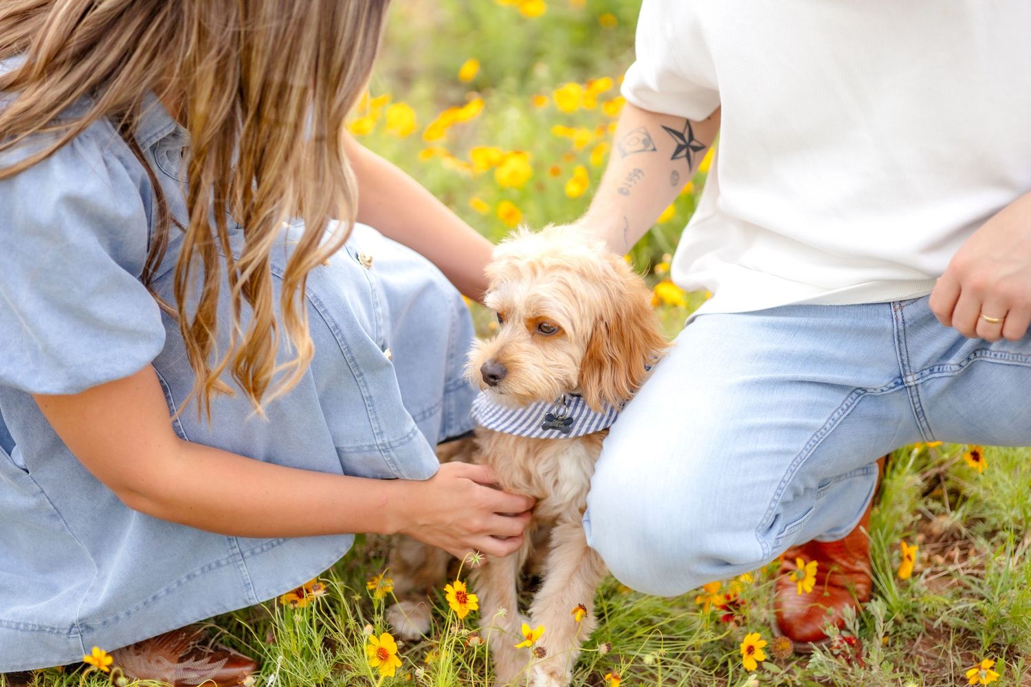 Married couple crouching down to pet their puppy in a field of flowers in Abilene, Texas