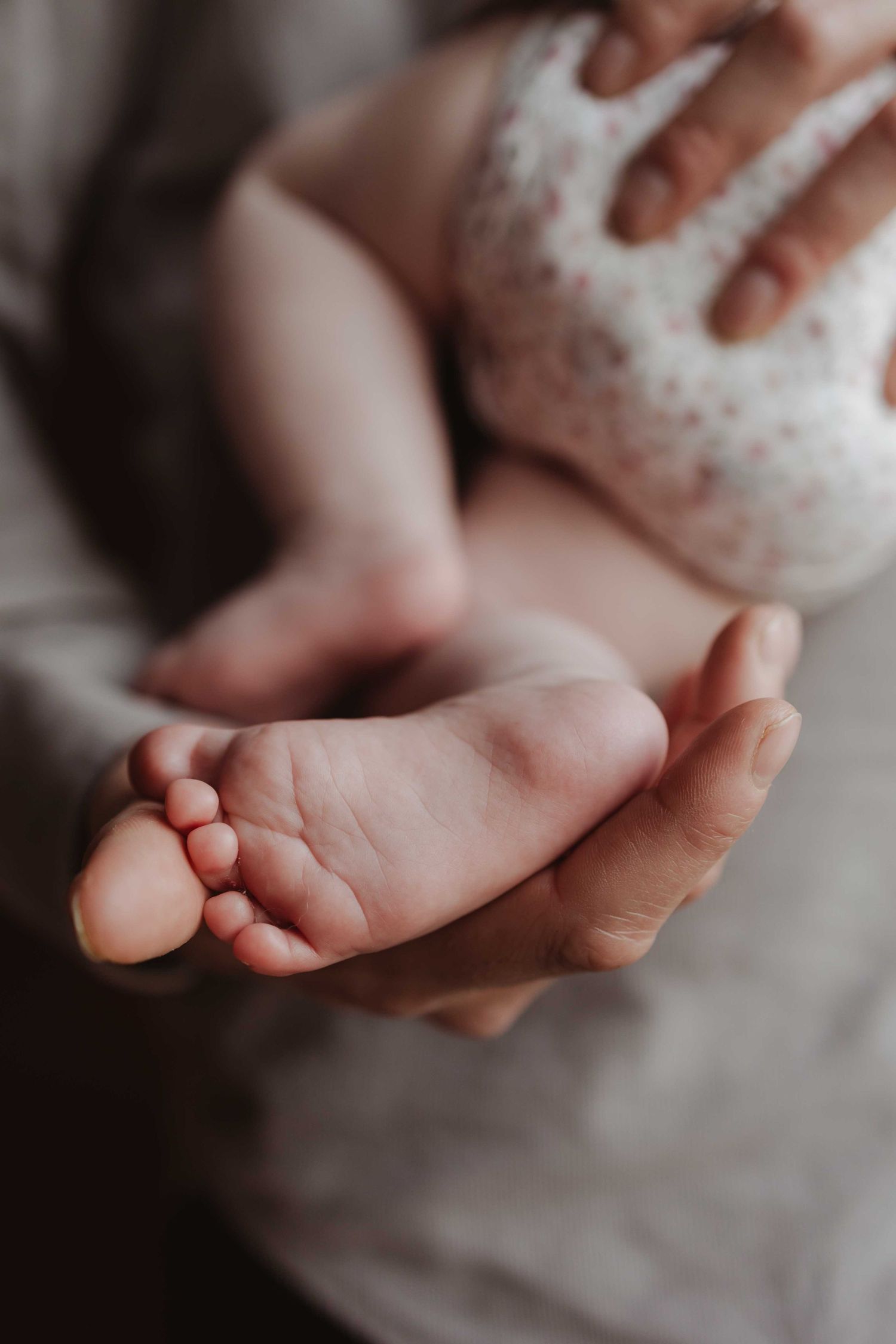 newborn
