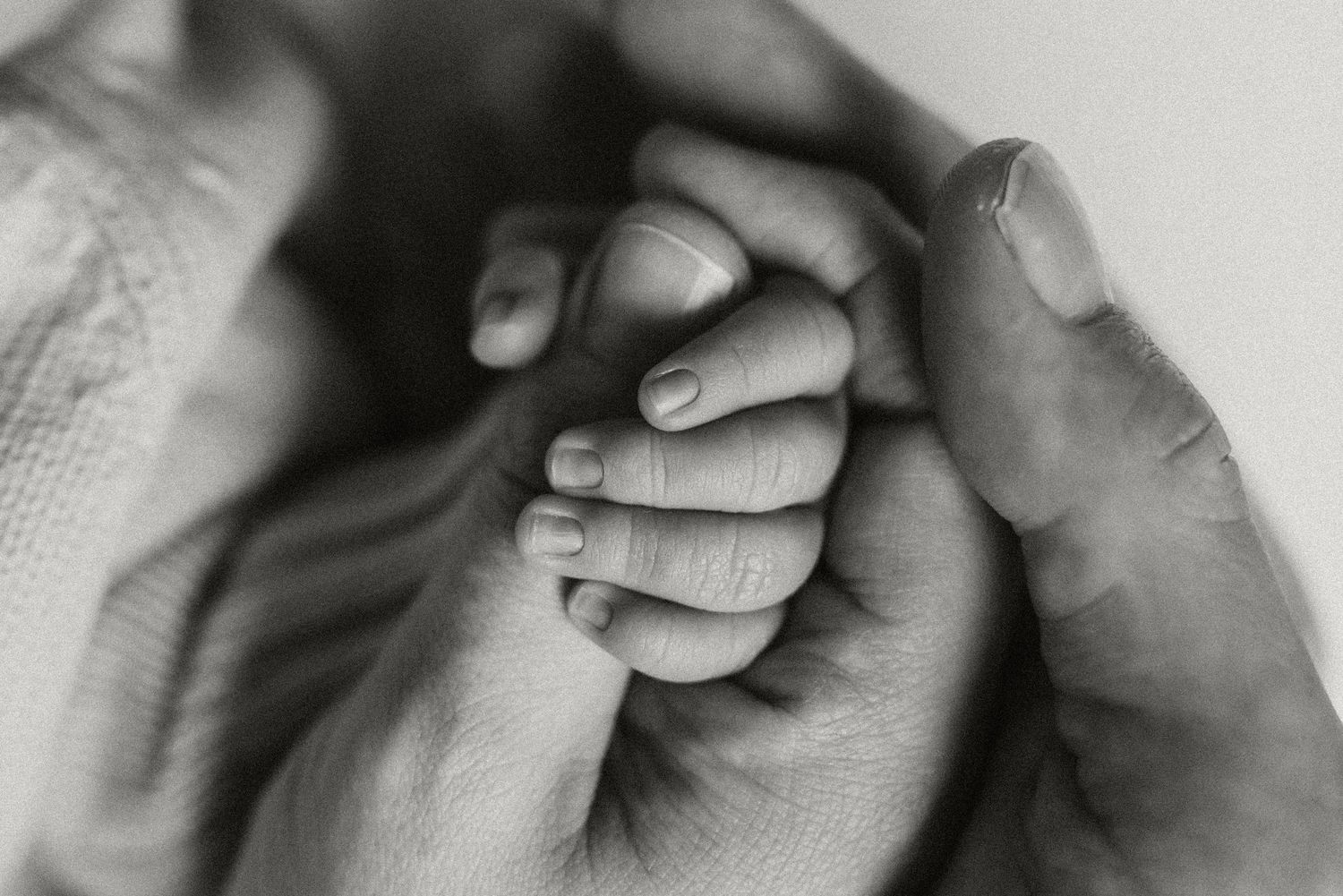 Studio newborn photography session in Edmonton, Alberta, capturing tiny details and family memories.