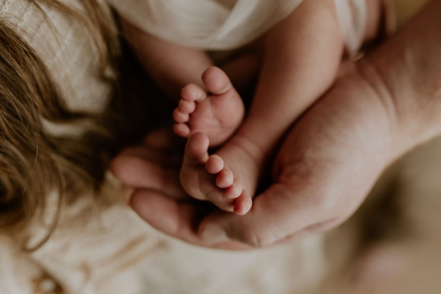 Close-up of newborn hands and feet in Edmonton studio, showcasing professional newborn photography style.