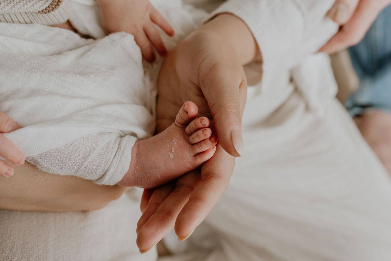 Close-up of newborn hands and feet in Edmonton studio, showcasing professional newborn photography style.