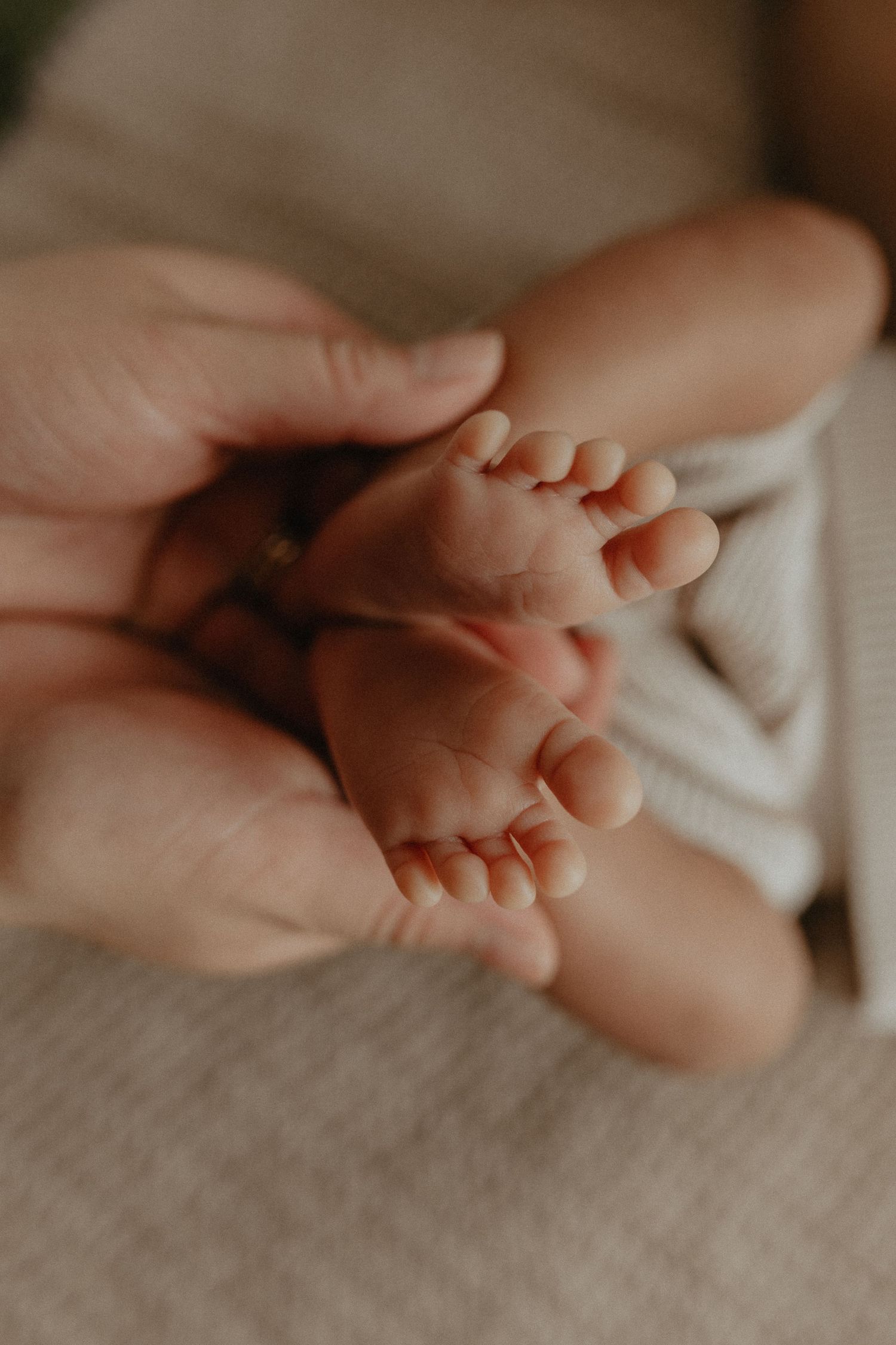 Close-up of newborn hands and feet in Edmonton studio, showcasing professional newborn photography style.