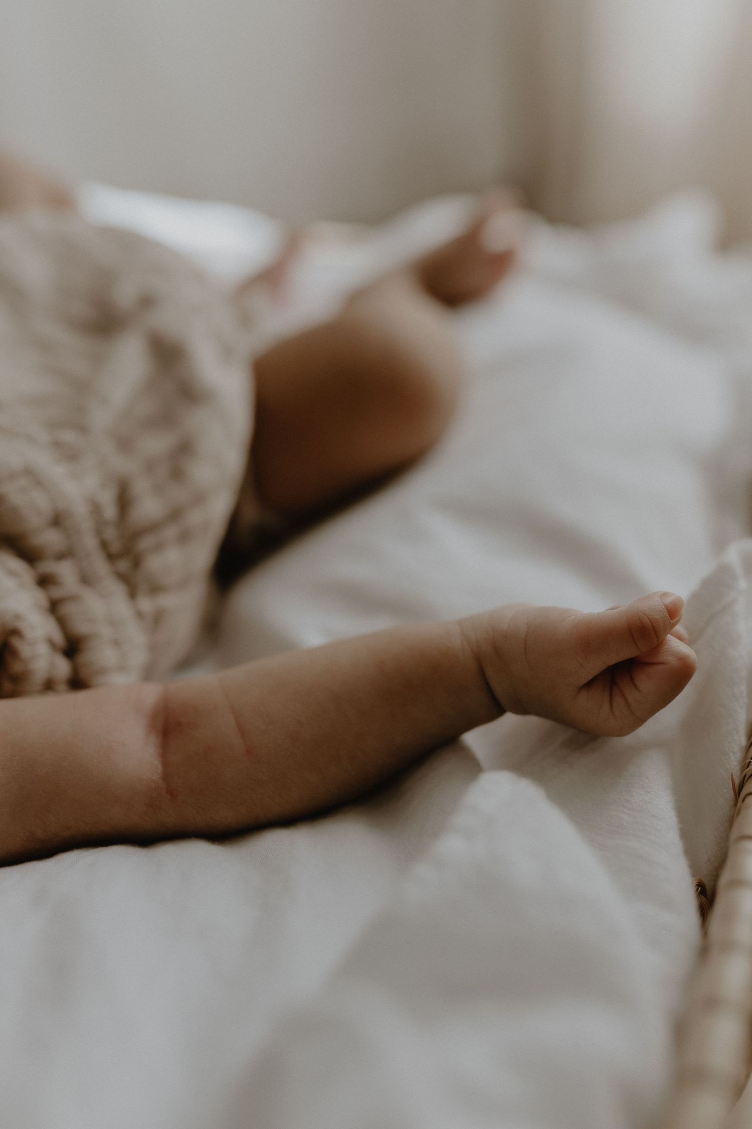 Close-up of newborn hands and feet in Edmonton studio, showcasing professional newborn photography style.