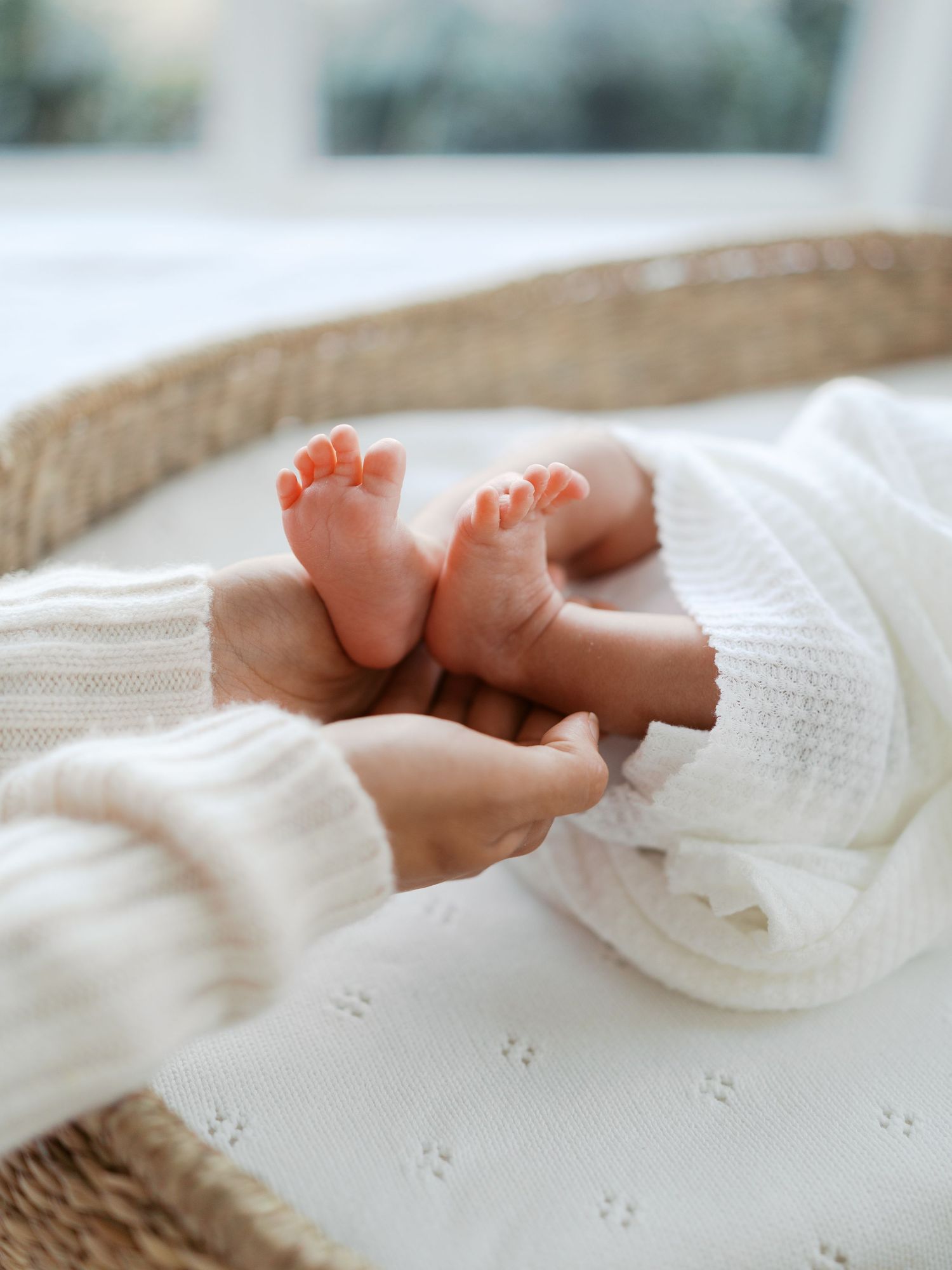 dallas newborn photographer