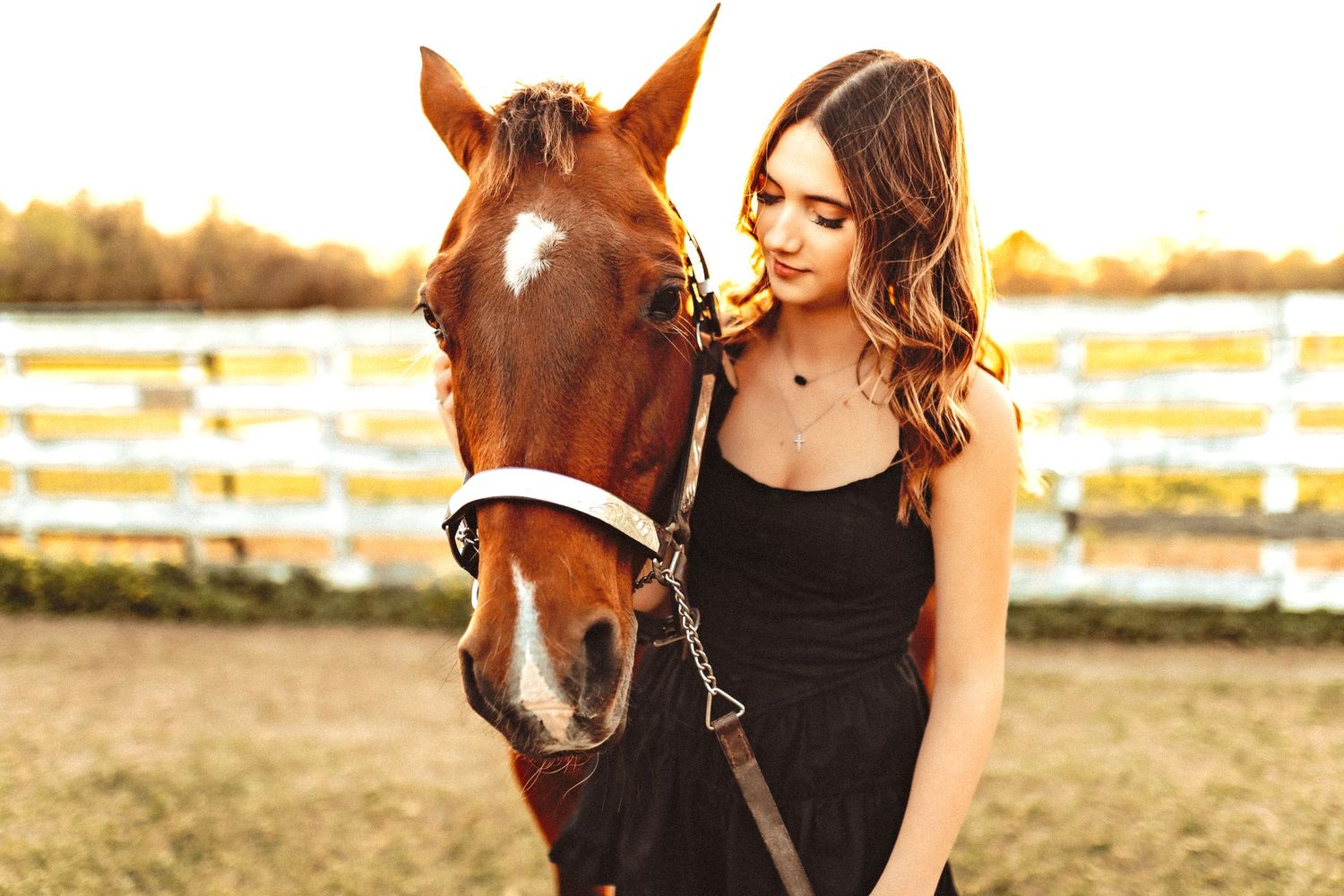 A chestnut horse wearing a white halter stands next to someone in a black dress during golden hour by a white fence.