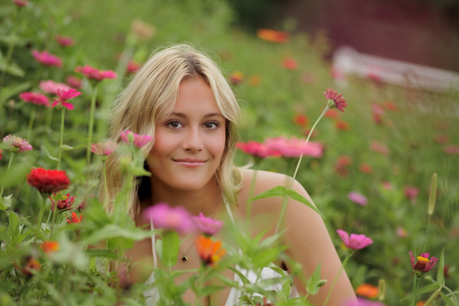Wake Forest Senior Photography in a flower field at Dix Park in Raleigh, NC