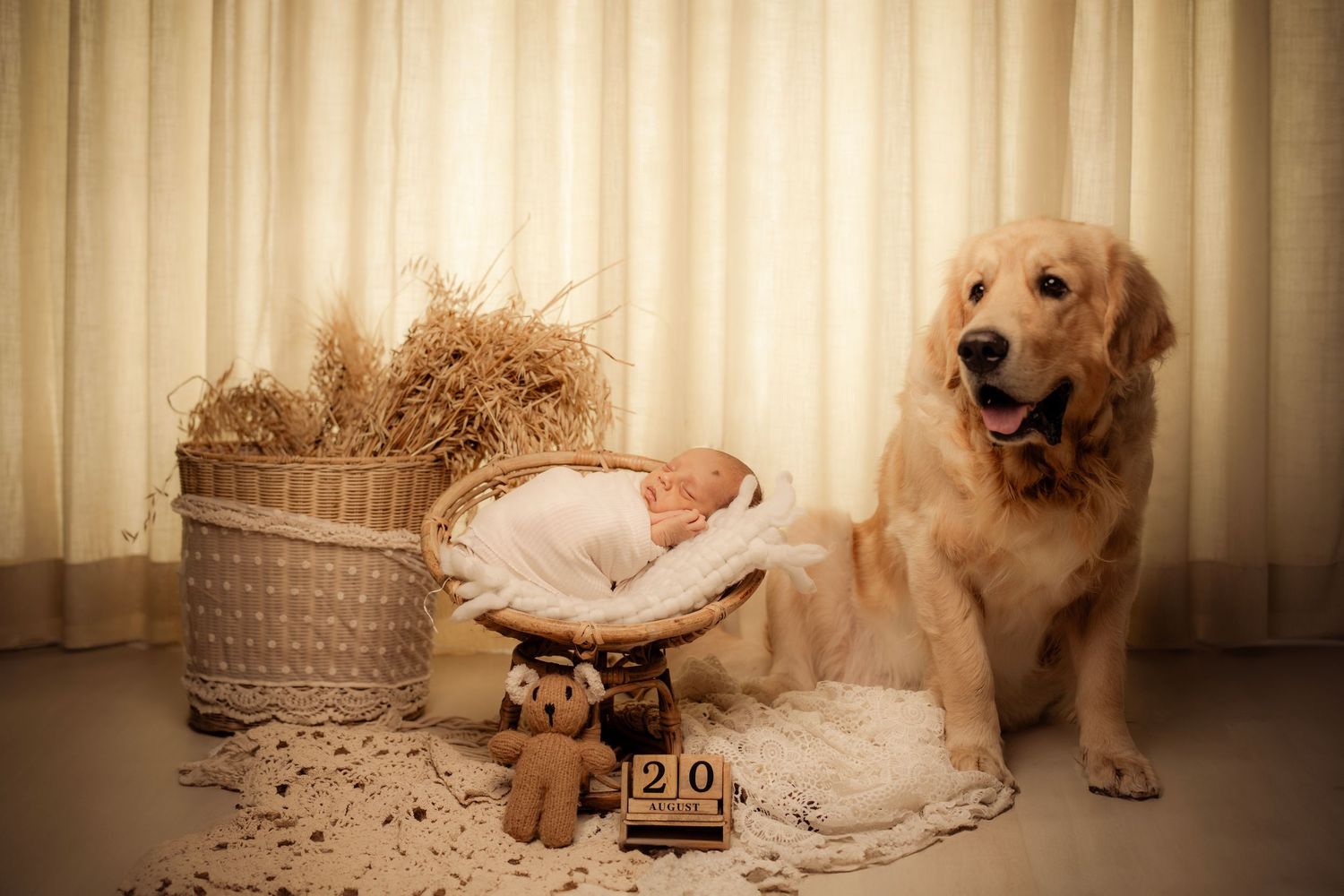 Professional newborn baby photoshoot with soft pastel setup – Impresio Studio