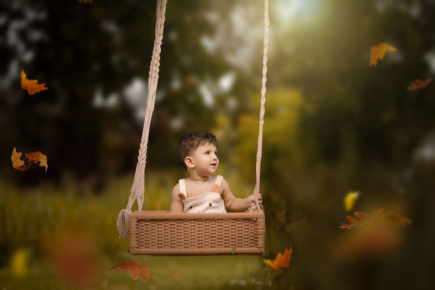 Birthday photographer near me capturing cake smash moments – Impresio Studio