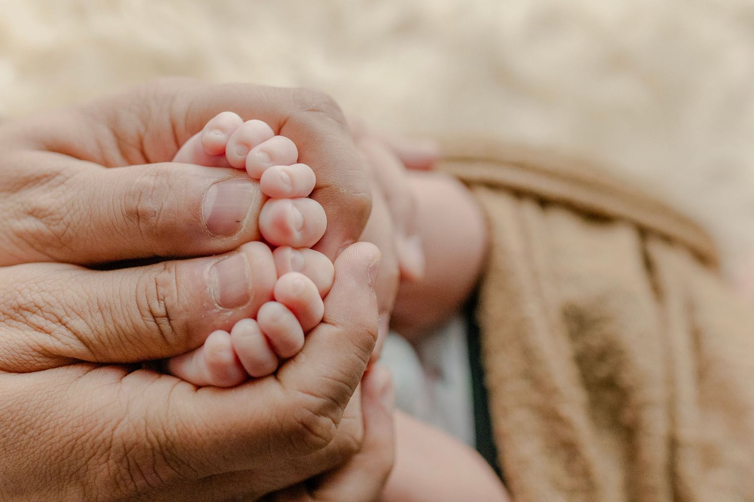 Composition of six heartwarming images showing tiny newborn baby feet being gently held by adult hands.