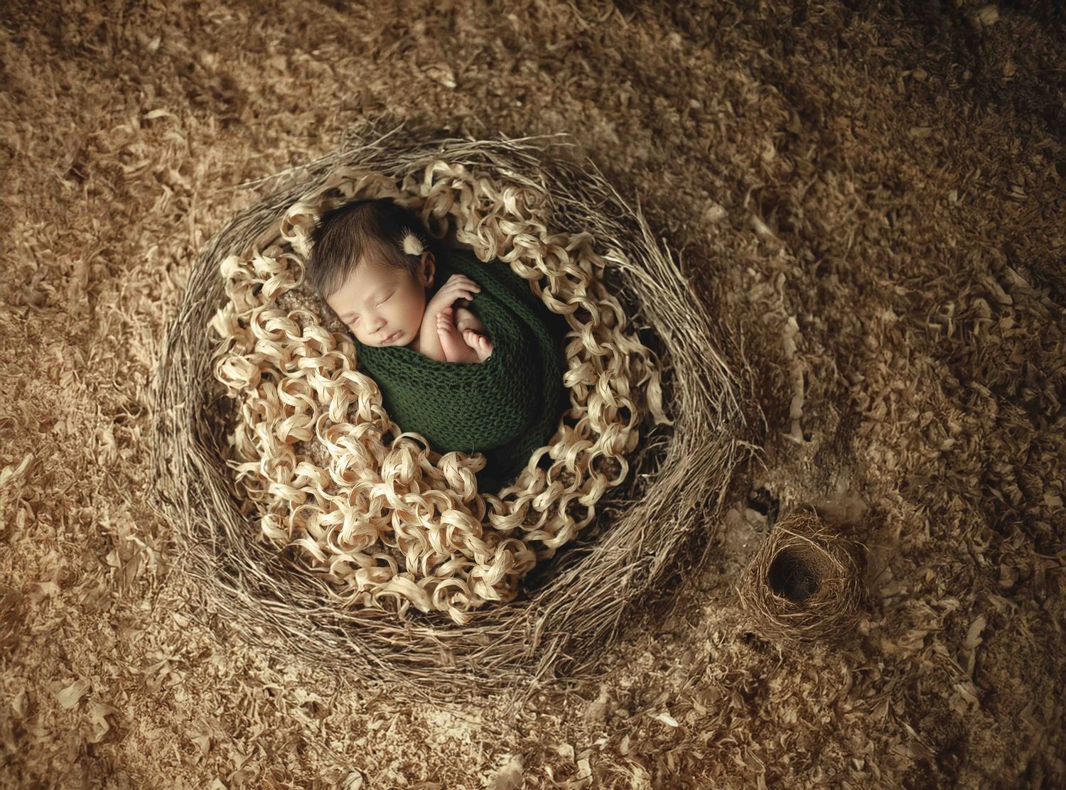 Newborn baby sleeping peacefully in a decorative nest, wrapped in a green knit blanket for a nature-themed photo.