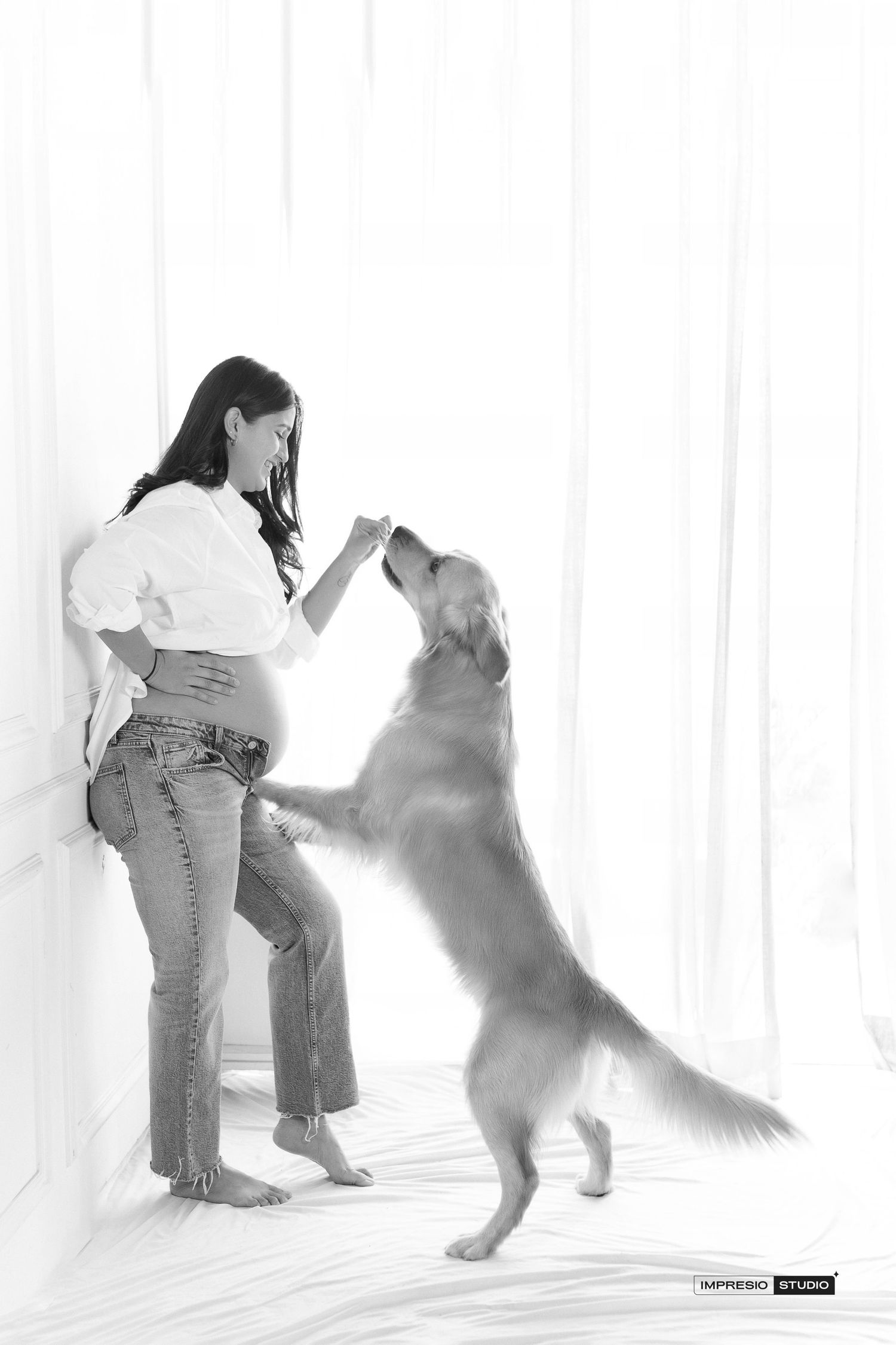 Black and white photo of pregnant woman in jeans feeding treat to jumping Golden Retriever dog near white curtains.